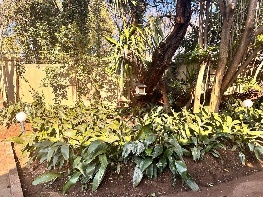 Woods Guest House Middelburg  Εξωτερικό φωτογραφία